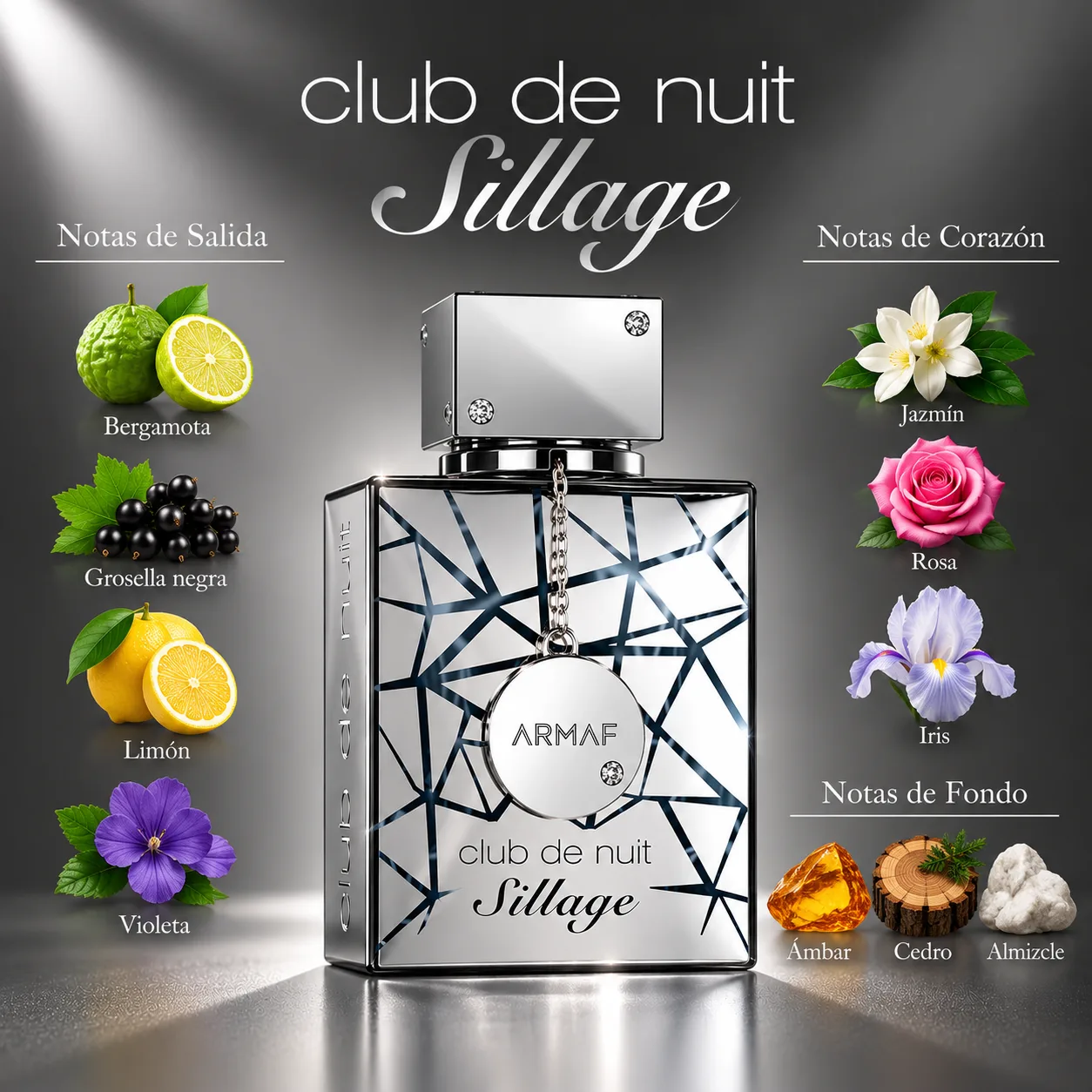 Club de Nuit Sillage · vista 3