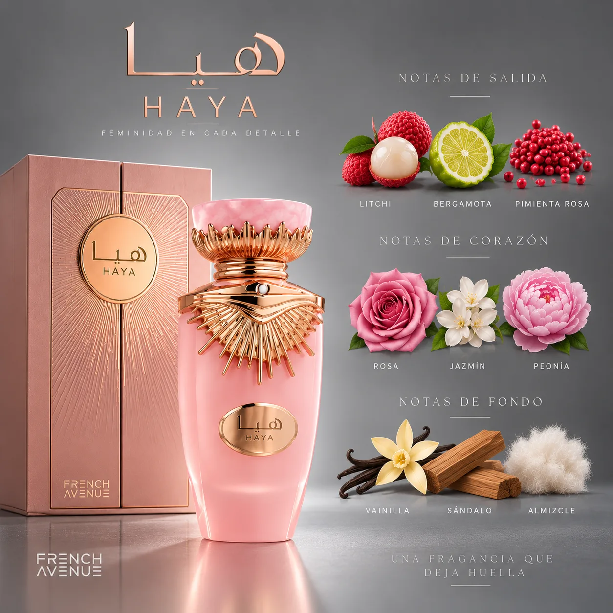 Haya · vista 3
