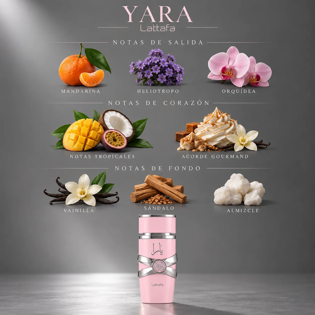 Yara · vista 3