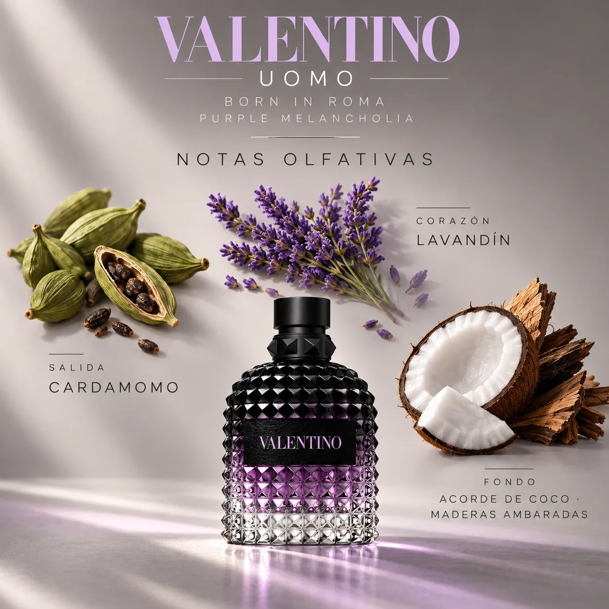 Uomo Born in Roma Purple Melancholia · vista 3